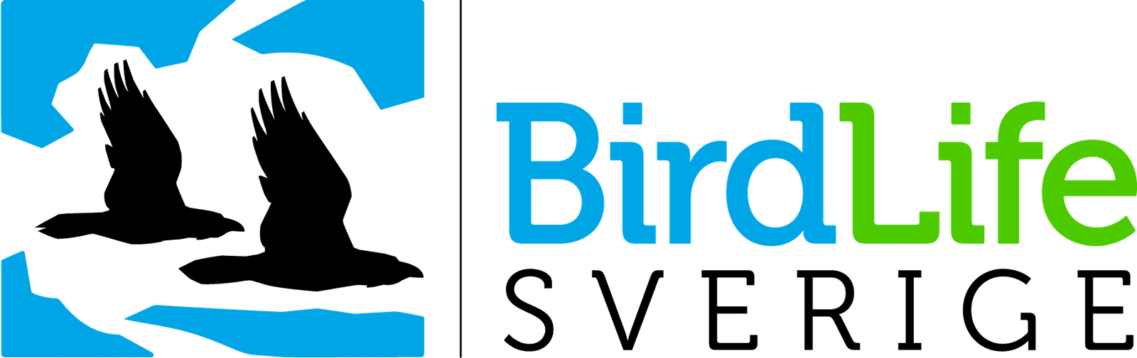 Birdlife Sweden