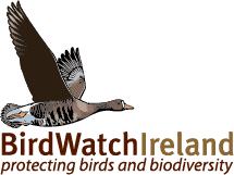BirdWatch Ireland