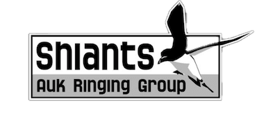 Shiants Auk Ringing Group