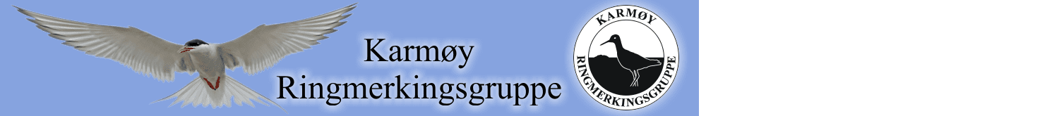 Karmøy Ringmerkingsgruppe